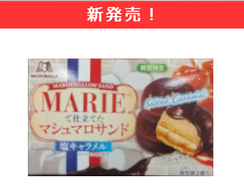 【新商品】森永製菓　マリーで仕立てたマシュマロサンド（塩キャラメル）×10個セット！
