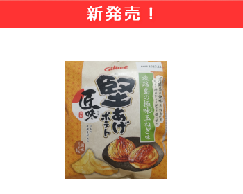 【新商品】カルビー　堅あげポテト匠味　淡路島の極味玉ねぎ味×12個セット！